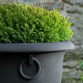 Photo of Campania Chartwell Planter - Exclusively Campania